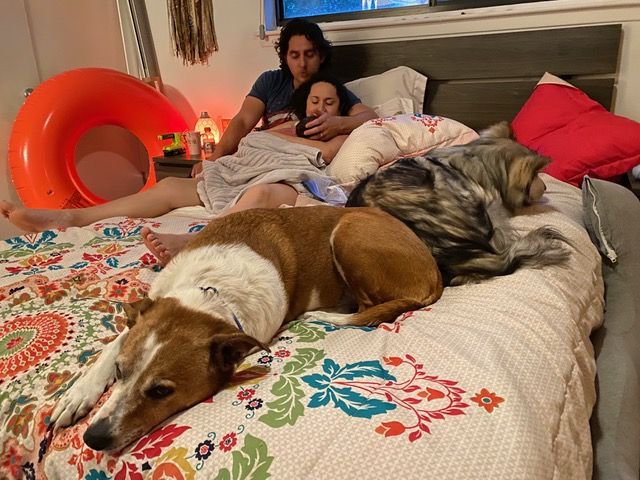 New family in bed after home birth